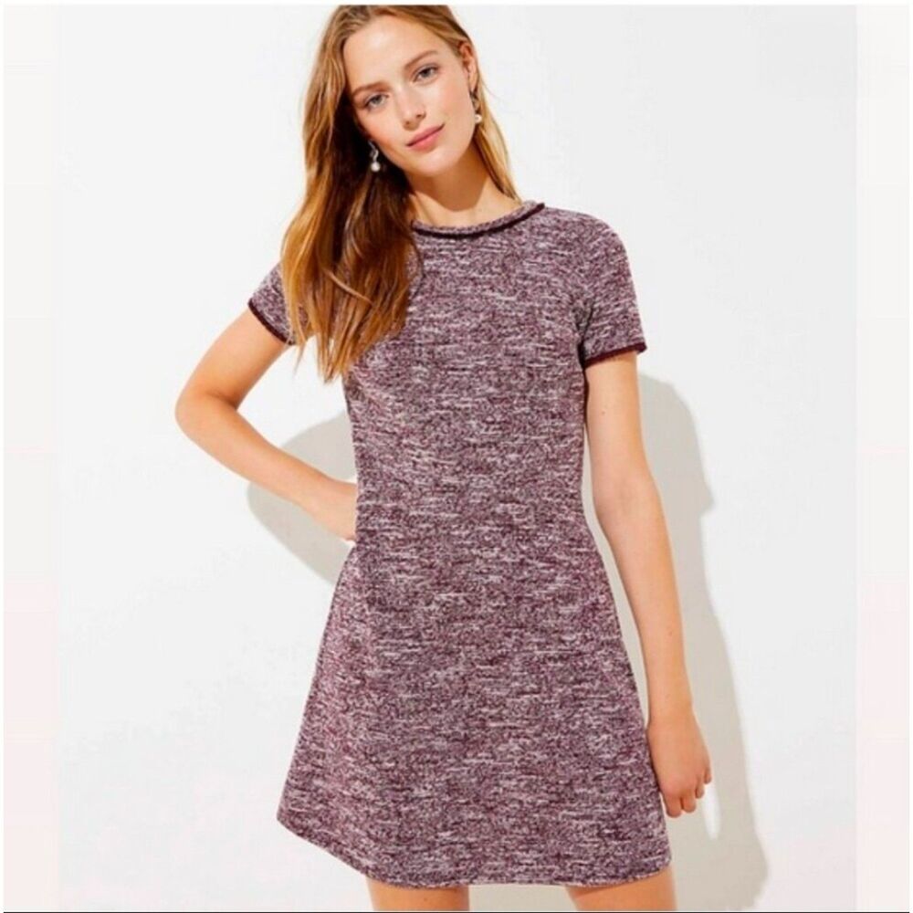 LOFT Mauve Rose Boucle Knit Short Sleeve Shift Dress Size 6